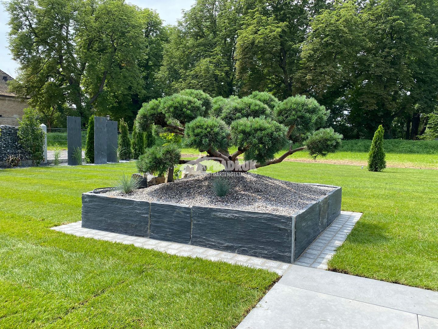 Ein Bonsai-Baum in einem Garten vor einer Steinmauer, umgeben von grünen Pflanzen und Blumen.
